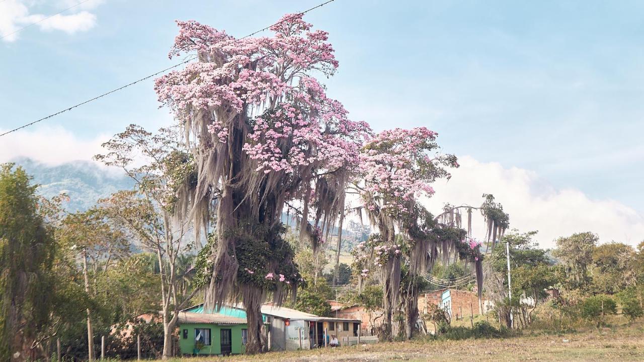 Macua Villa Chipata Buitenkant foto