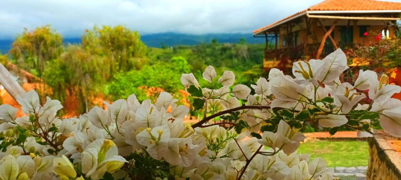 Macua Villa Chipata Buitenkant foto