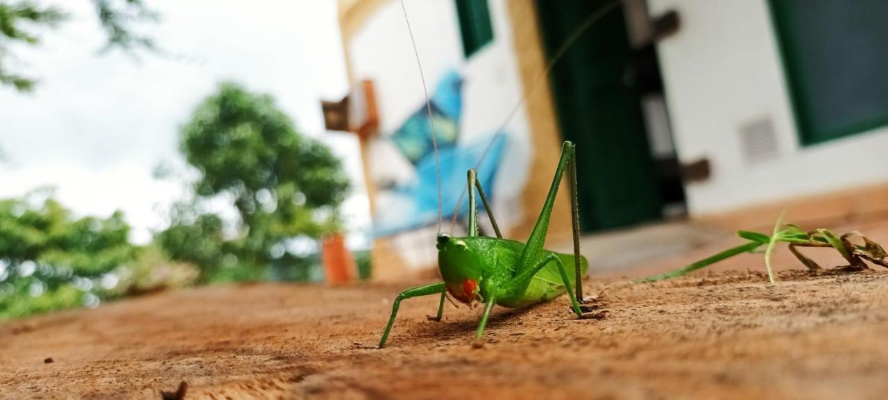 Macua Villa Chipata Buitenkant foto